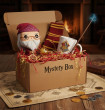 Hedo SK Harry Potter Mystery Box