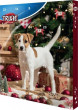 Trixie Dog Adventes kalendārs (TX-9268) [Kalendarz