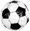 GoDan Piniata futbols 28x28x28cm
