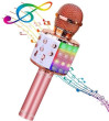 Mikrofons Royal Song Karaoke mikrofons WS-858