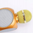 WS-1816 mikrofons (WS-1816/GO) [Mikrofon]