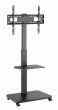 Gembird televizora stiprinājums 37" 75" ar