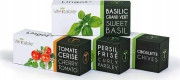 Veritable Véritable Lingot Japońska pietruszka Mitsuba