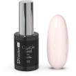 Cosmetics Zone Excellent PRO Quick Gel