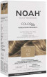 Noah , Permanent Hair Colour, Permanent Hair