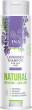 Essentials Lavender Shampoo dabīgs lavandas šampūns