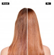 L`Oreal Paris Professionnel. Serie Expert Absolut