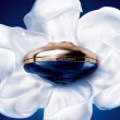 Guerlain Orchidee Imperiale Krem długowieczności 30ML