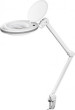 Goobay LED palielināmā stikla lampa ar