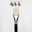 Amsterdam Brush sērija 600 #48 48