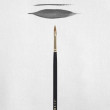 Artequipment Rembrandt Oil Acrylic Brush Series