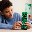 LEGO Minecraft Creeper ™ (21276)
