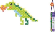 Marioinex Micro Vafele 150 gab. Dinozaurs