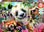 Educa Puzzle 300 Black-eyed friends G3