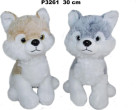 Sunday Husky suns 30cm MIX [Pies