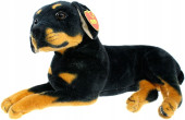 Dubi Rotwailer suns 47cm 32492 [Pies