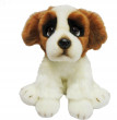 Smily Play Saint Bernard suns 30